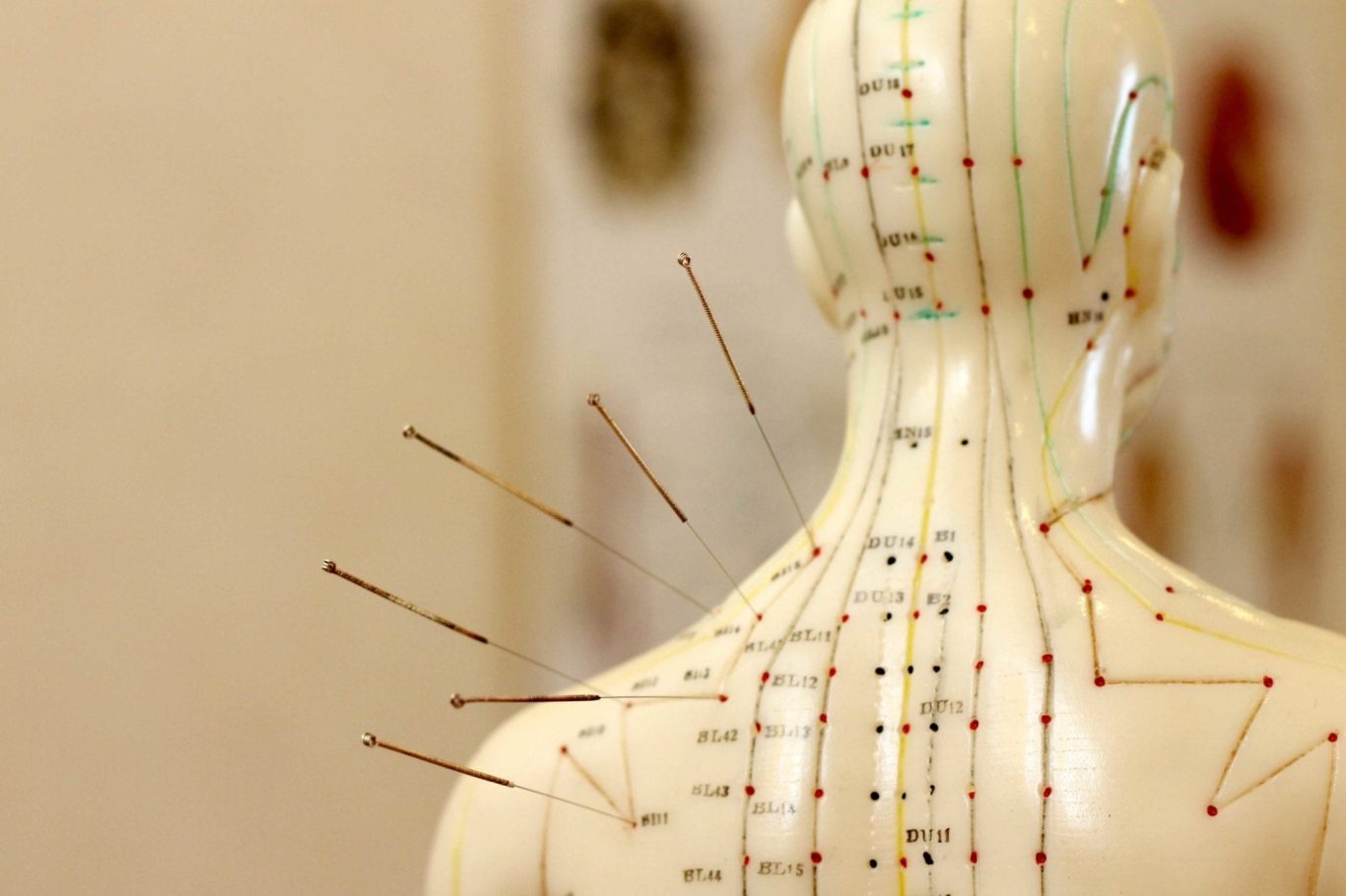 Meridians and acupuncture points